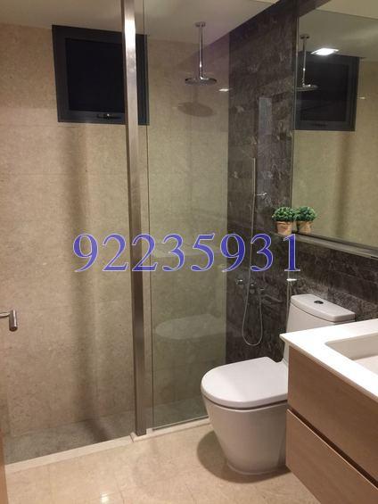 Watertown (D19), Apartment #161096952